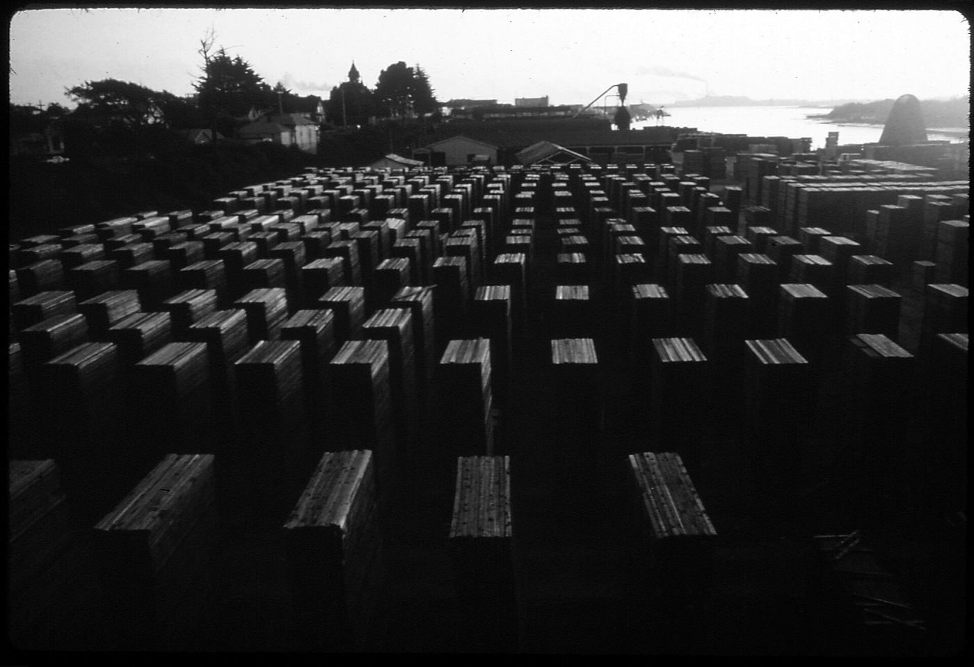 Stacks of lumber drying in a lumber yard